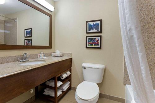 a bathroom with a toilet and a sink with a mirror at Springplace Inn & Suites in Marion