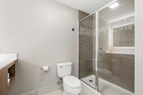 a bathroom with a toilet and a glass shower at The Ridges Resort on Lake Chatuge in Young Harris