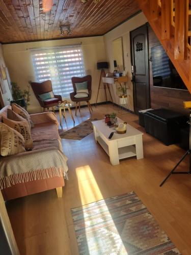 a living room with a couch and a table at Los Camperos AR in Temuco