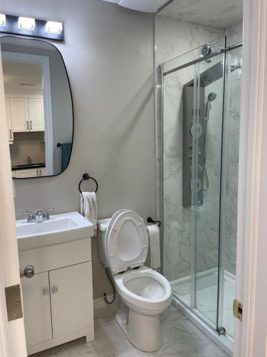 ein Badezimmer mit Dusche, Toilette und Waschbecken in der Unterkunft New Basement Apartment unit sleeps 4 in Oakville