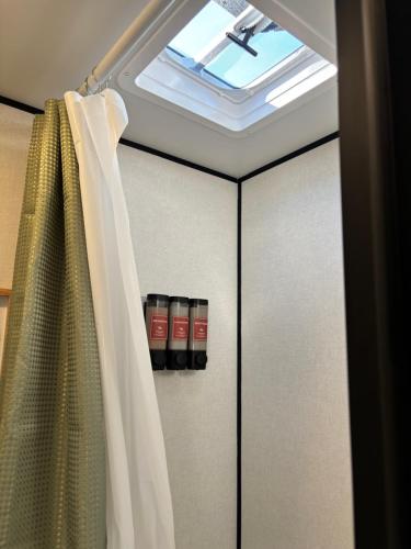 ein Badezimmer mit Dachfenster und Duschvorhang in der Unterkunft The Backyard Den in Raleigh