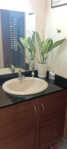 a bathroom sink with a potted plant on a counter at Puthooram Veedu in Chakkarakkal