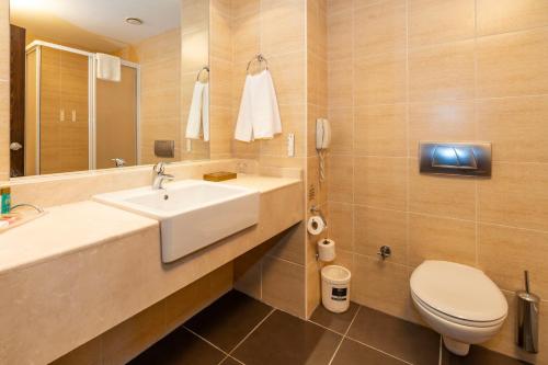 a bathroom with a sink and a toilet and a mirror at Barida Hotels Davraz in Cobanisa