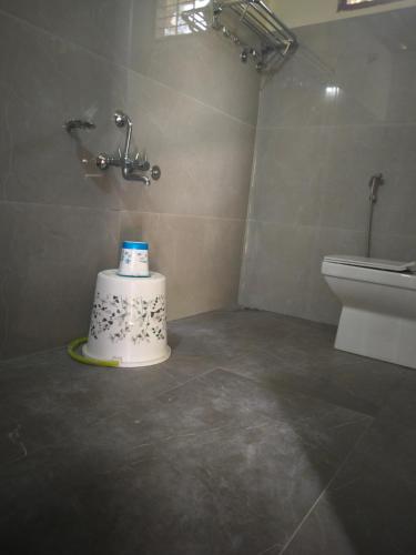 a bathroom with a toilet and a cake on the floor at THE DOCkSIDE INN in Madikeri