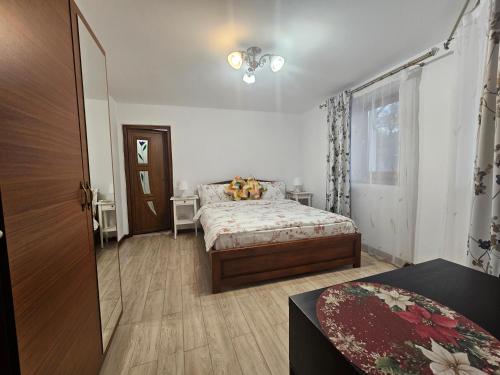 a bedroom with a bed and a window at Casa Hera in Călimăneşti