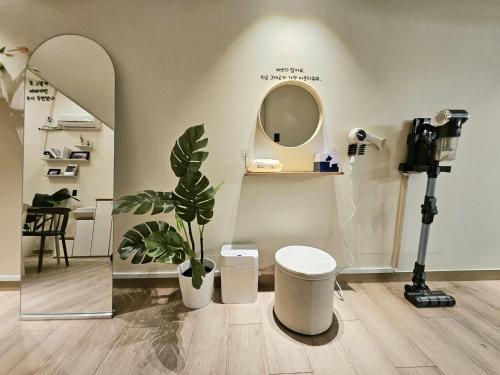 a room with a mirror and a plant and a camera at 샤인 스테이 in Kung-mal