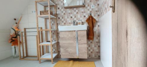 a bathroom with a sink and shelves in a room at Ubytovanie Pod Rotundou in Skalica