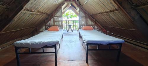 a group of three beds in a tent at John and Novy's beach bungalows in San Francisco