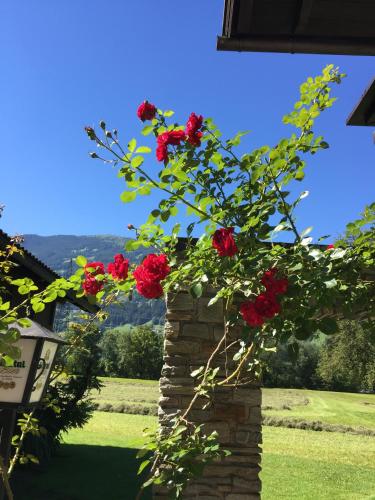 Photo de la galerie de l'établissement Gasthof Waldrast, à Zell am Ziller