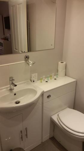 a bathroom with a sink and a toilet and a mirror at The City Arms in Wells