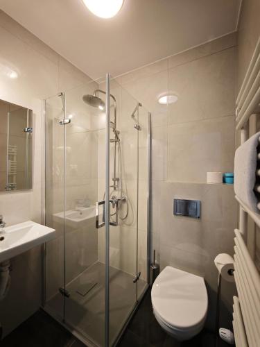 a bathroom with a shower and a toilet and a sink at Alda Gold in Pyrzowice