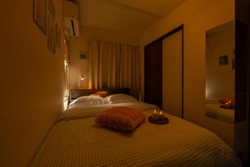 Shibuya Brown Hotel 201