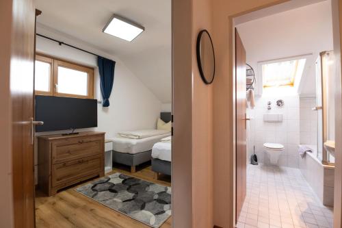 a bathroom with a toilet and a television in a room at Ferienwohnung Allgäu-Hilaria in Fischen