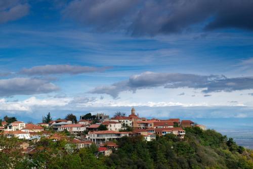 a group of houses on top of a hill at Guest House Aisi in Sighnaghi