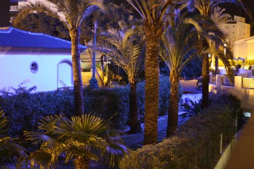 Gallery image of Hotel Rober Palas in Albir