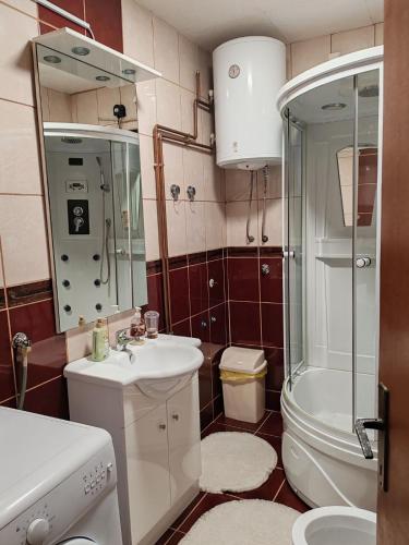 a bathroom with a sink and a toilet and a shower at Apartman Dačo in Vlasenica