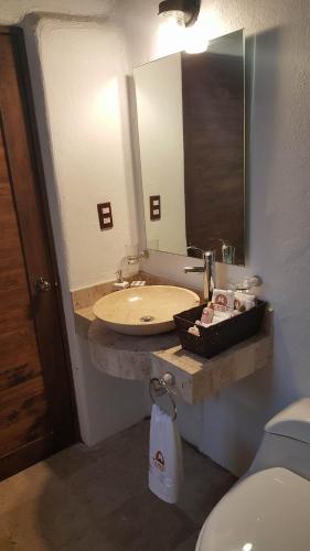 a bathroom with a sink and a toilet and a mirror at La Mora Casa de Campo in Huasca de Ocampo