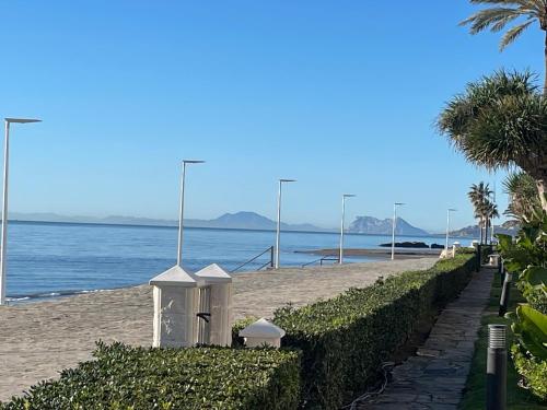 El Lobo de Mar Estepona