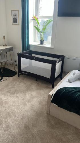a bedroom with a bed and a window with a plant at Serene Ocean Side Apartment BTN in Brighton & Hove
