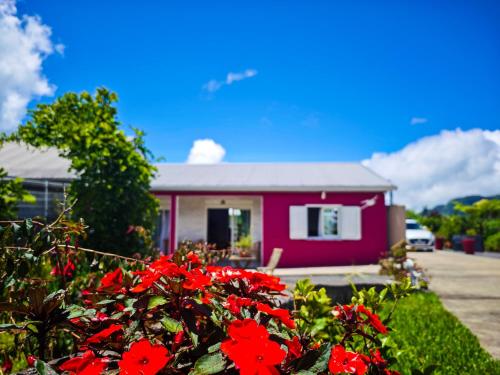 a pink house with red flowers in front of it at La Kaz 57 - Maison avec jacuzzi et sauna - La Réunion in La Plaine des Palmistes