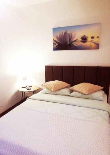a bed with two pillows and a painting on the wall at Nice & economic Studio in Baia Mare