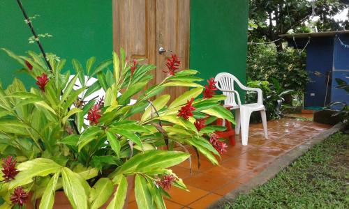 Un jardín fuera de Casa Maya