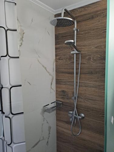 a shower in a bathroom with a marble wall at Aspasia's apartment in Mytilene