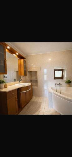 a large bathroom with a tub and a sink at Les Lilas in Marche-en-Famenne