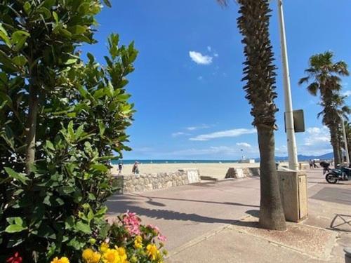 Appartement T2 avec Parking Privé et Balcon à Canet Plage