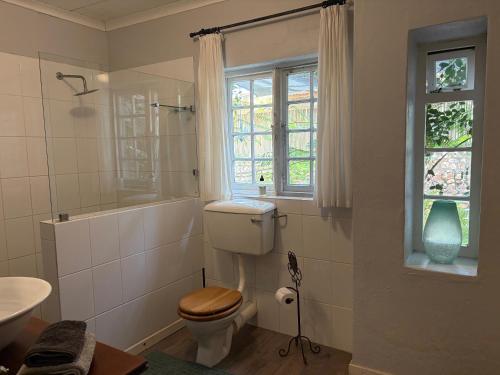 a bathroom with a toilet and a sink and a window at Shabach Farm in Hartebeest Rivier