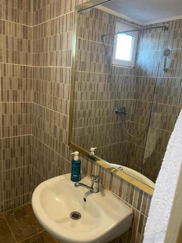 a bathroom with a sink and a mirror at Pensiunea Ada in Balta Verde