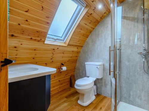 a bathroom with a toilet and a sink and a window at 2 Bed in Rhayader oc-90274 in Saint Harmon