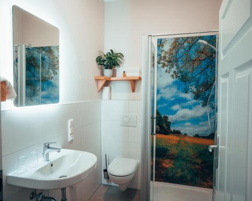 a bathroom with a toilet and a sink and a shower at Gutshof Vogt in Geismar