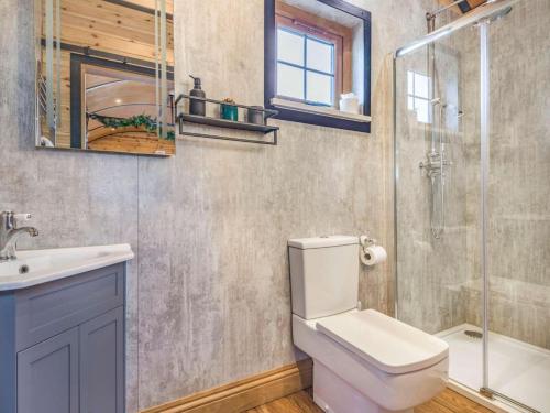 a bathroom with a toilet and a sink and a shower at 1 Bed in Rhayader oc-90285 in Saint Harmon