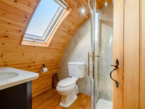 a bathroom with a toilet and a sink and a window at 2 Bed in Rhayader oc-90280 in Saint Harmon