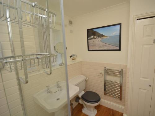 a bathroom with a toilet and a sink and a shower at 2 Bed in Minehead oc-75338 in Minehead