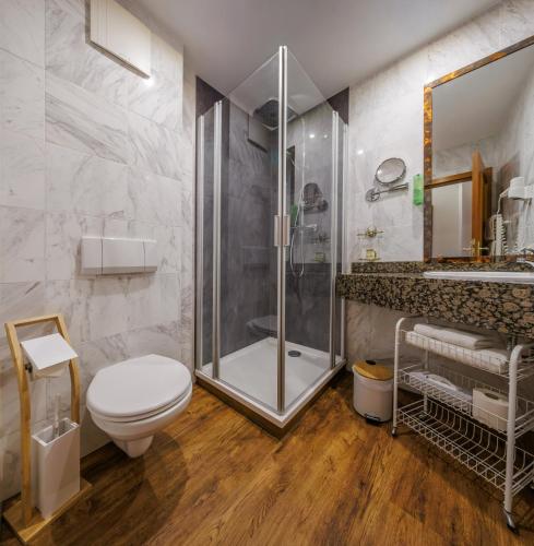 a bathroom with a shower and a toilet and a sink at Hotel Fürstenhof in Rathenow