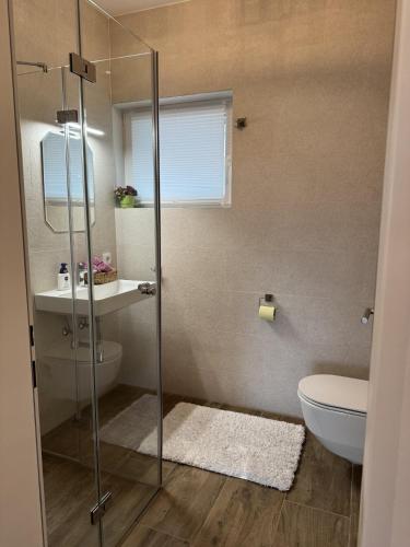 a bathroom with a shower with a toilet and a sink at Relax Walding in Jörgensbühl