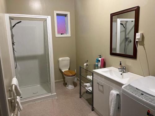 a bathroom with a shower and a sink and a toilet at Railway Hotel Greymouth in Greymouth