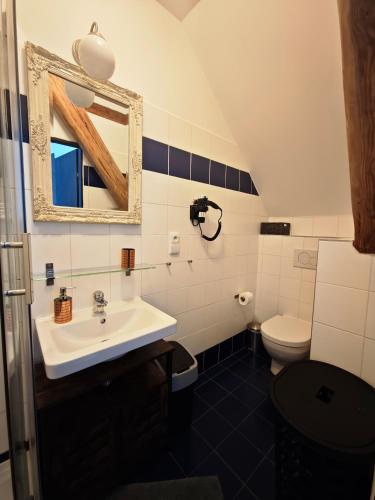 a bathroom with a sink and a toilet at Penzion U Švarců in Zduchovice