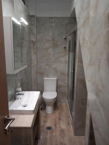 a bathroom with a toilet and a shower and a sink at Thalassoudis-House 2 in Agios Nikolaos