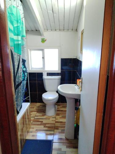 a bathroom with a toilet and a sink at Hospedajes y Cabañas Marisol in Curacautín
