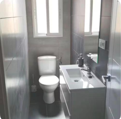 a bathroom with a white toilet and a sink at Bonito piso in Puerto Real