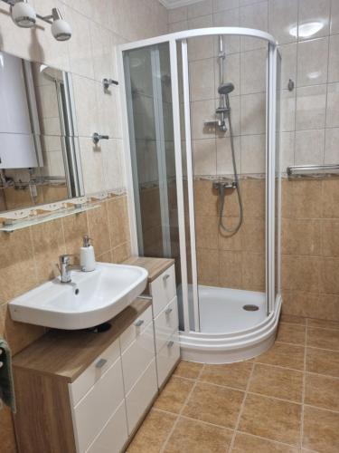 a bathroom with a sink and a shower at Ida Apartman in Miskolc