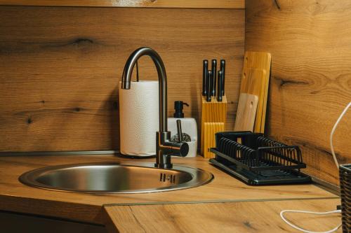 a kitchen counter with a sink in a kitchen at Vila Ramonda in Žabljak