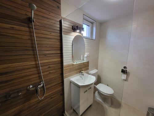 a bathroom with a toilet and a sink and a shower at Li-Vi Apartman Debrecen in Debrecen