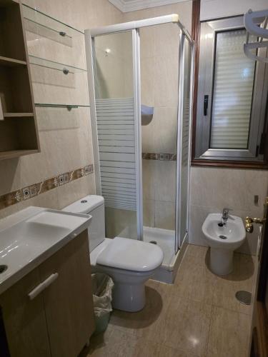 a bathroom with a toilet and a shower and a sink at Apartamentos Camino Inglés 3 in O Mesón Do Vento 