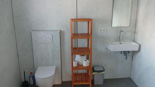a small bathroom with a toilet and a sink at Walldürn Zentrum 2 in Walldürn