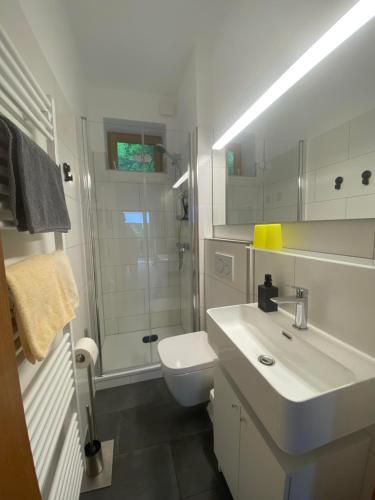 a bathroom with a sink and a toilet and a shower at Appartements am Schlossberg in Starnberg