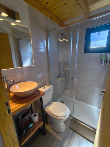 a bathroom with a toilet and a sink and a shower at Patagonia Tiny house 3 in El Chalten